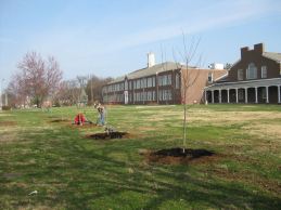 trees in front of gym